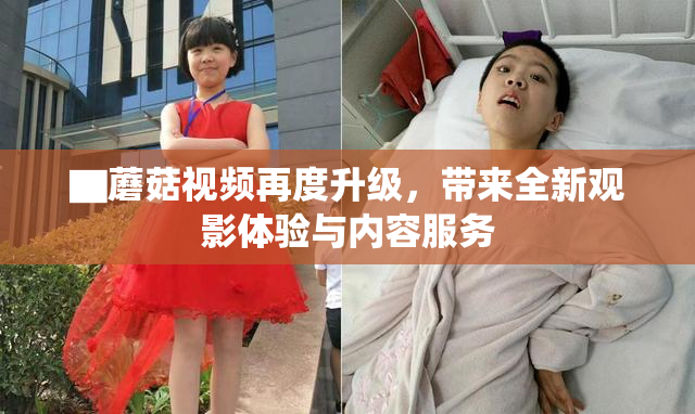 ▇蘑菇视频再度升级，带来全新观影体验与内容服务