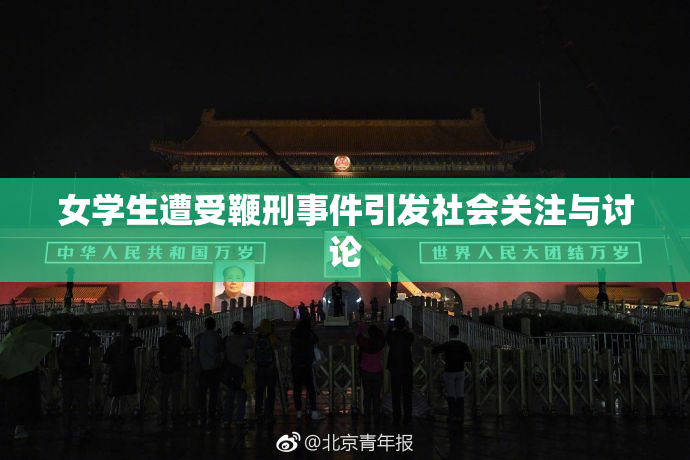 女学生遭受鞭刑事件引发社会关注与讨论