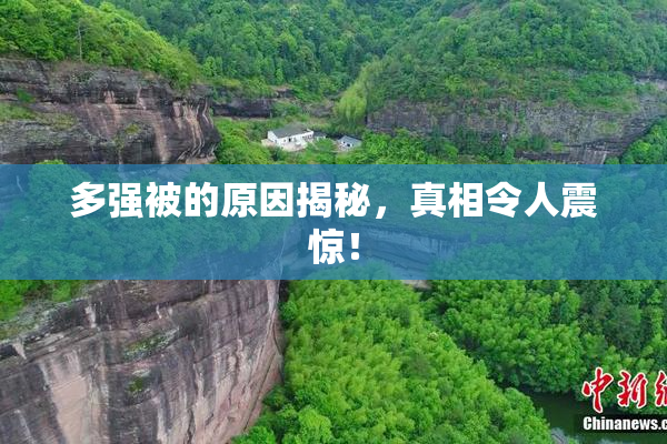多强被的原因揭秘，真相令人震惊！