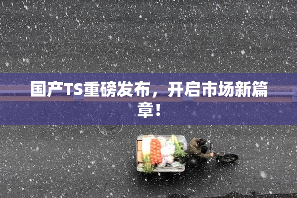 国产TS重磅发布，开启市场新篇章！