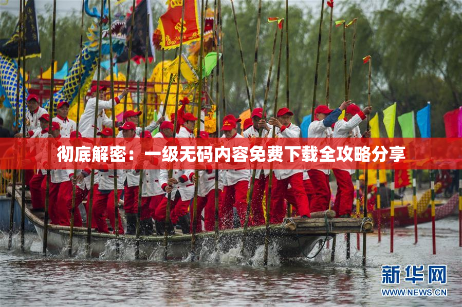 彻底解密：一级无码内容免费下载全攻略分享