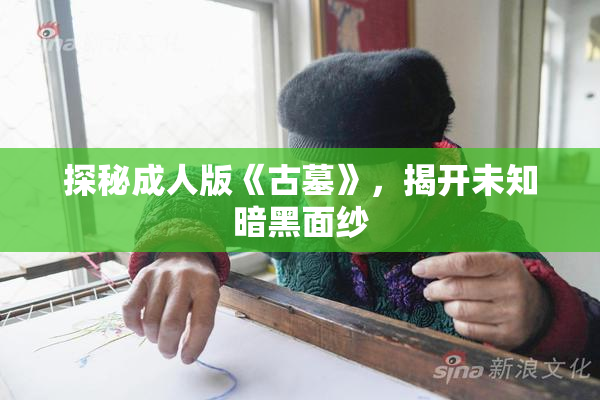 探秘成人版《古墓》，揭开未知暗黑面纱