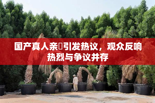 国产真人亲妺引发热议，观众反响热烈与争议并存