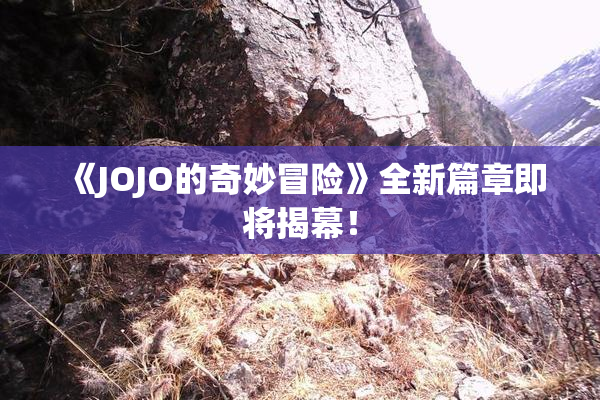 《JOJO的奇妙冒险》全新篇章即将揭幕！