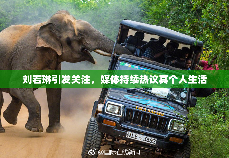 刘若琳引发关注，媒体持续热议其个人生活