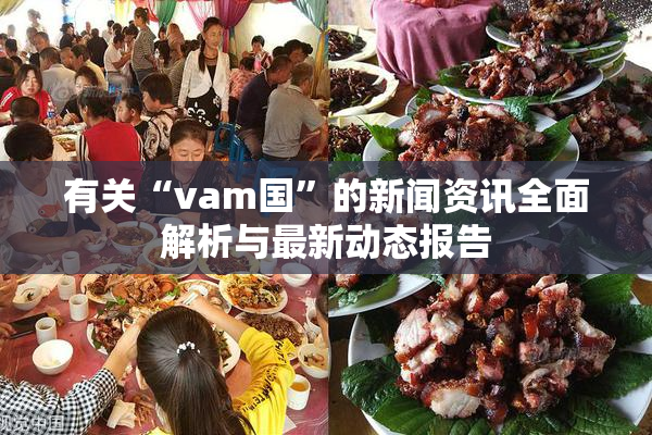 有关“vam国”的新闻资讯全面解析与最新动态报告
