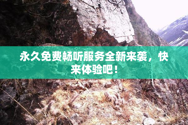永久免费畅听服务全新来袭，快来体验吧！