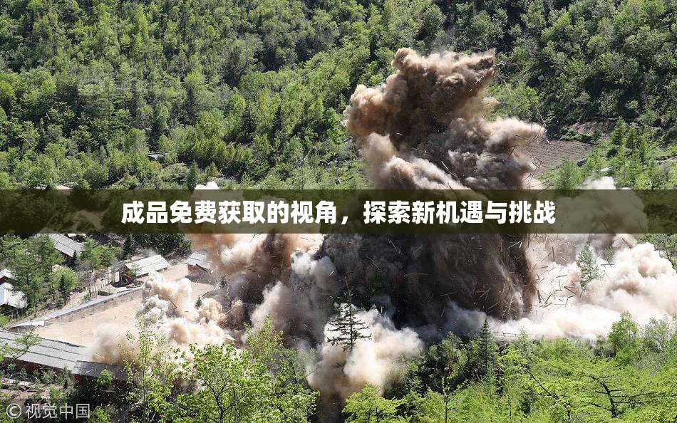 成品免费获取的视角，探索新机遇与挑战