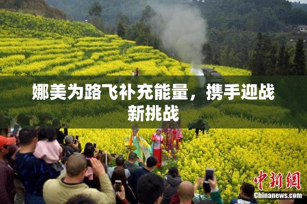 娜美为路飞补充能量，携手迎战新挑战
