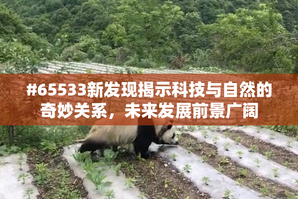 #65533新发现揭示科技与自然的奇妙关系，未来发展前景广阔