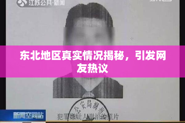 东北地区真实情况揭秘，引发网友热议