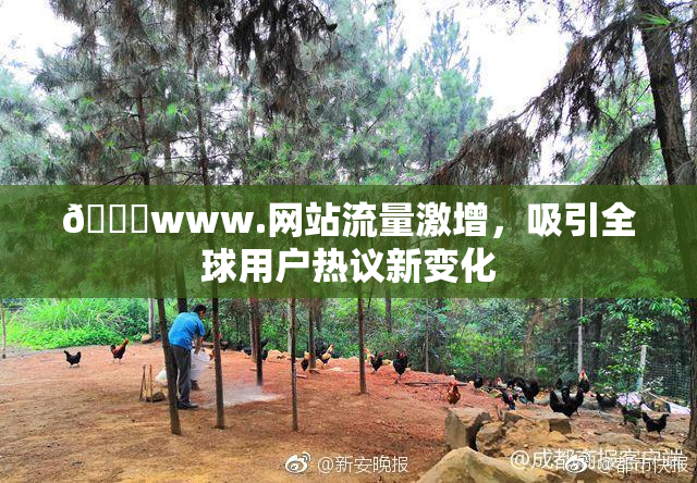 🔞www.网站流量激增，吸引全球用户热议新变化