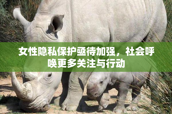 女性隐私保护亟待加强，社会呼唤更多关注与行动