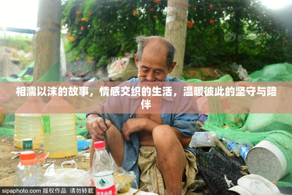 相濡以沫的故事，情感交织的生活，温暖彼此的坚守与陪伴
