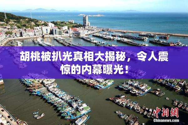 胡桃被扒光真相大揭秘，令人震惊的内幕曝光！