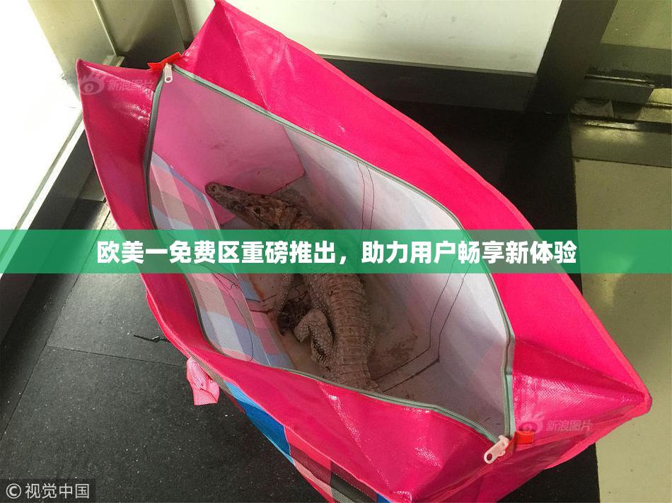 欧美一免费区重磅推出，助力用户畅享新体验