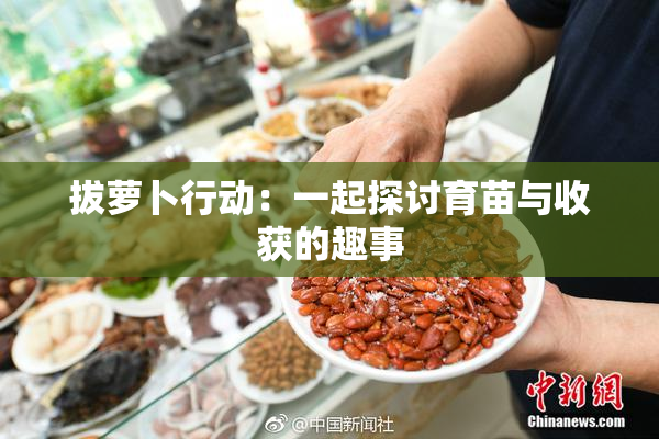 拔萝卜行动：一起探讨育苗与收获的趣事