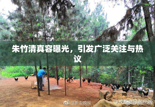 朱竹清真容曝光，引发广泛关注与热议