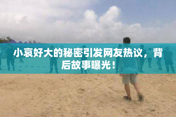 小哀好大的秘密引发网友热议，背后故事曝光！