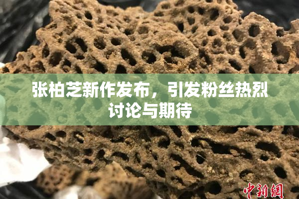 张柏芝新作发布，引发粉丝热烈讨论与期待