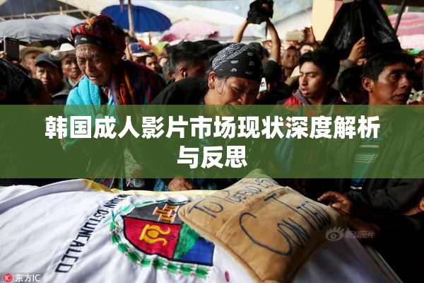 韩国成人影片市场现状深度解析与反思