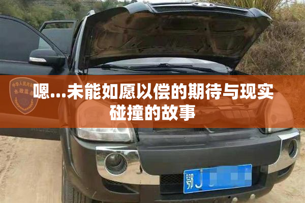 嗯...未能如愿以偿的期待与现实碰撞的故事