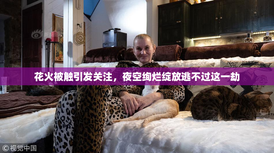 花火被触引发关注，夜空绚烂绽放逃不过这一劫