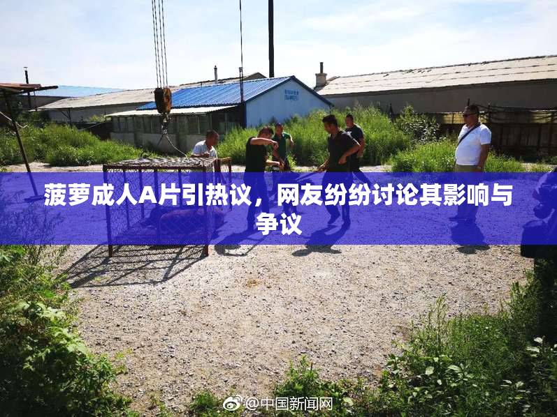 菠萝成人A片引热议，网友纷纷讨论其影响与争议
