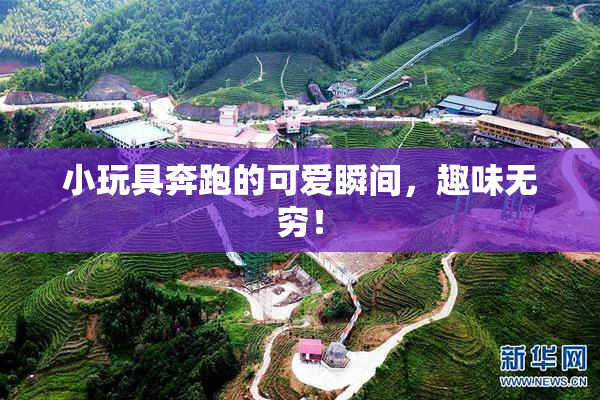 小玩具奔跑的可爱瞬间，趣味无穷！