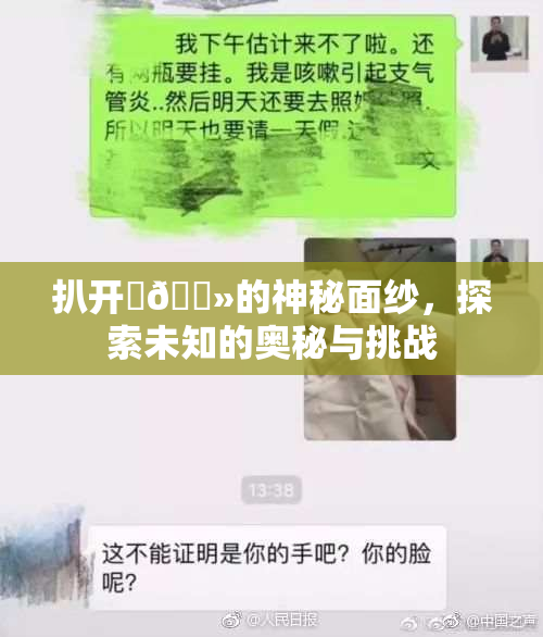 扒开‌🐻的神秘面纱，探索未知的奥秘与挑战