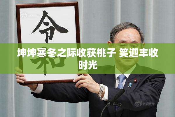 坤坤寒冬之际收获桃子 笑迎丰收时光