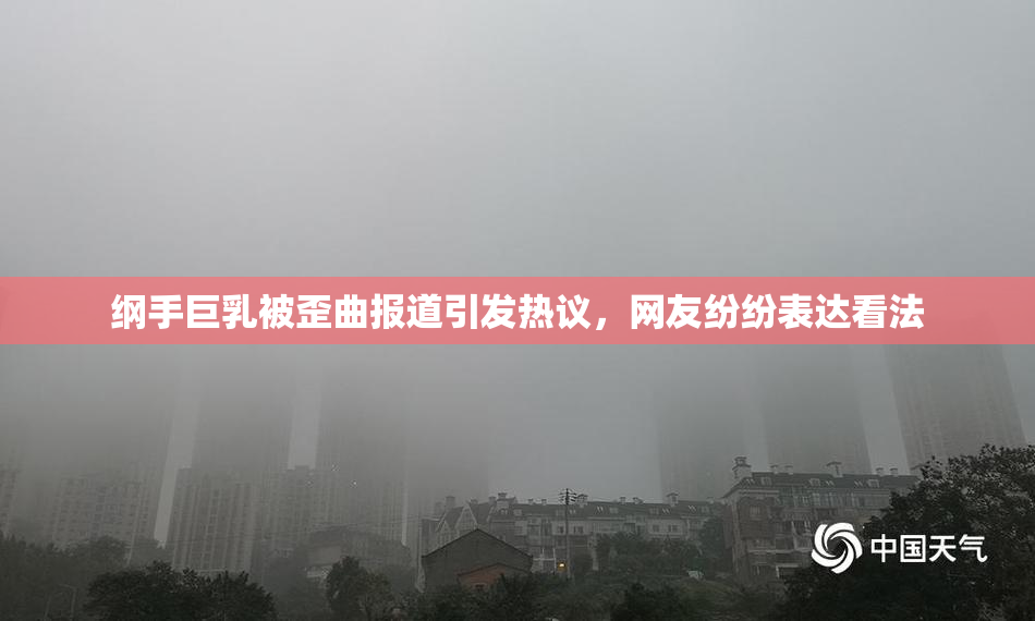 纲手巨乳被歪曲报道引发热议，网友纷纷表达看法