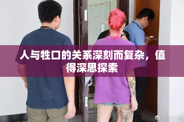 人与牲口的关系深刻而复杂，值得深思探索