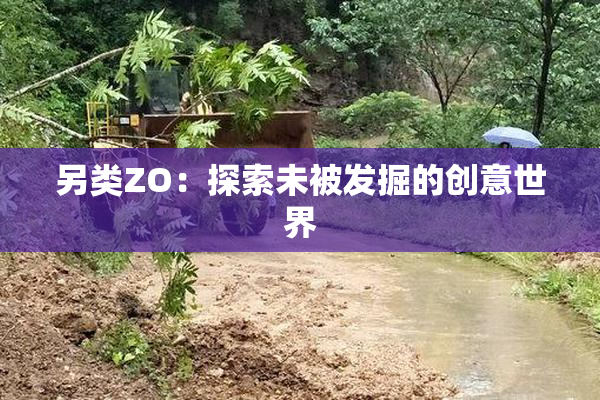另类ZO：探索未被发掘的创意世界