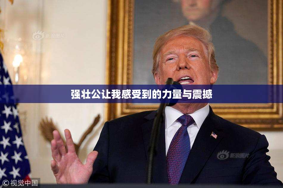 强壮公让我感受到的力量与震撼