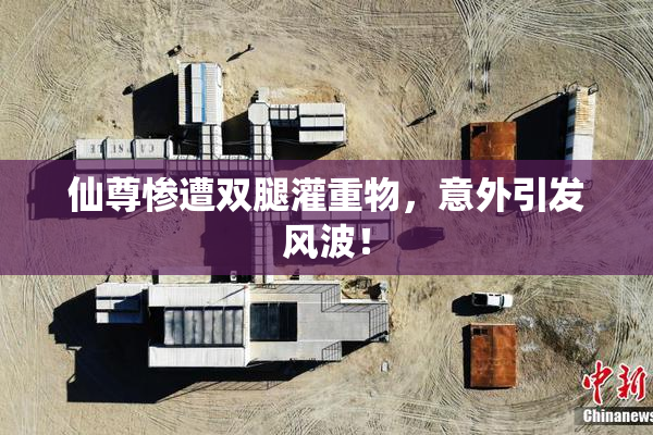 仙尊惨遭双腿灌重物，意外引发风波！