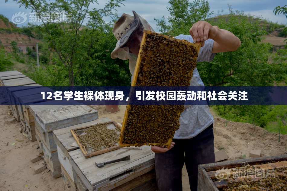 12名学生裸体现身，引发校园轰动和社会关注