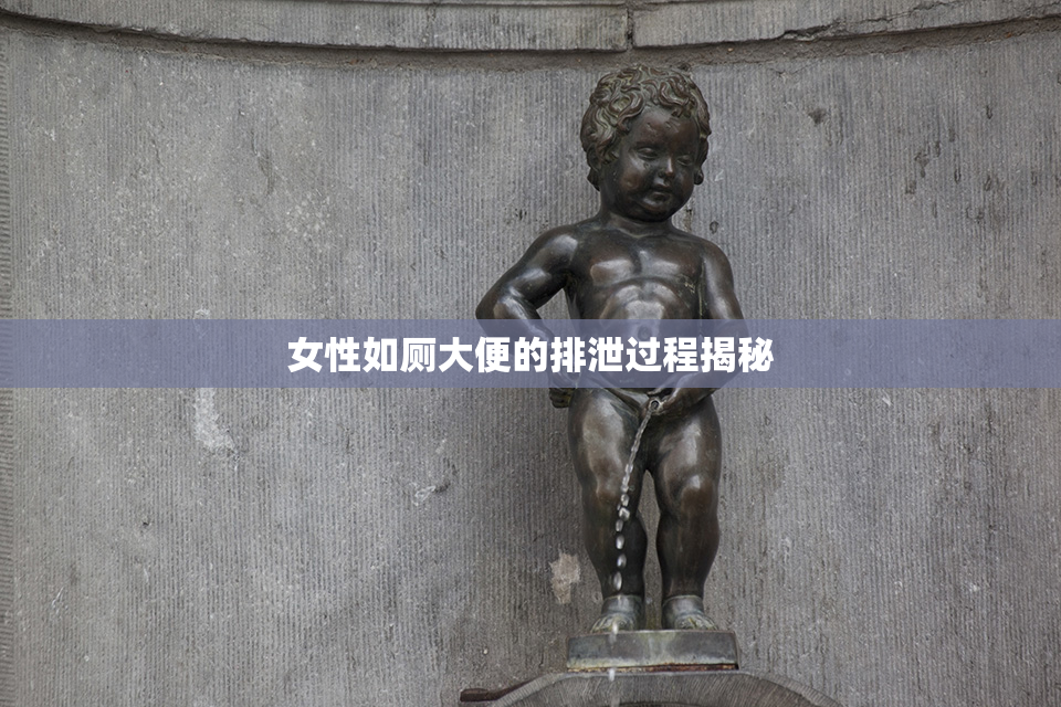 女性如厕大便的排泄过程揭秘