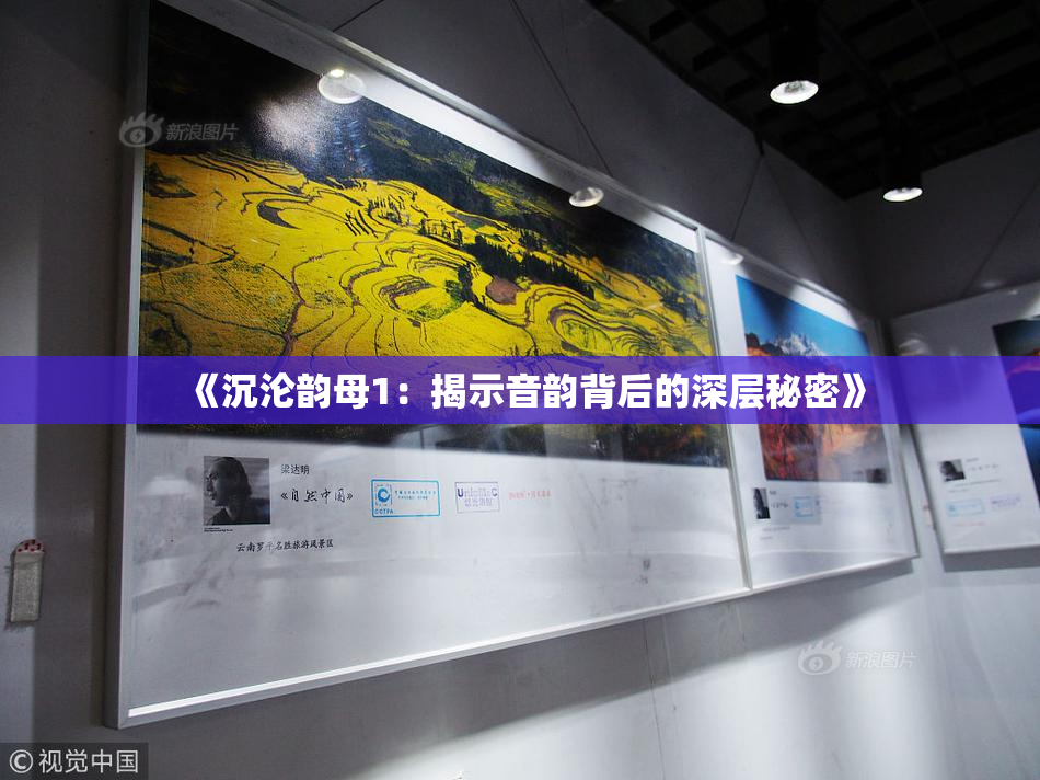 《沉沦韵母1：揭示音韵背后的深层秘密》
