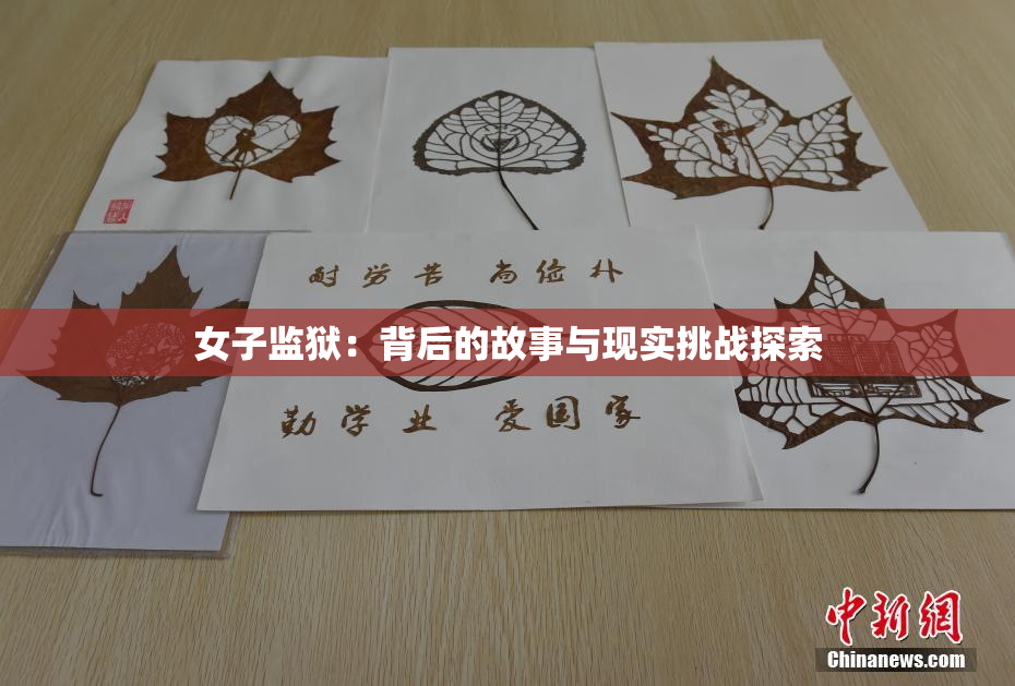 女子监狱：背后的故事与现实挑战探索