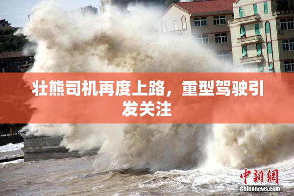 壮熊司机再度上路，重型驾驶引发关注
