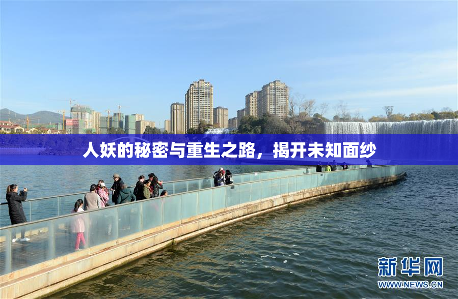 人妖的秘密与重生之路，揭开未知面纱