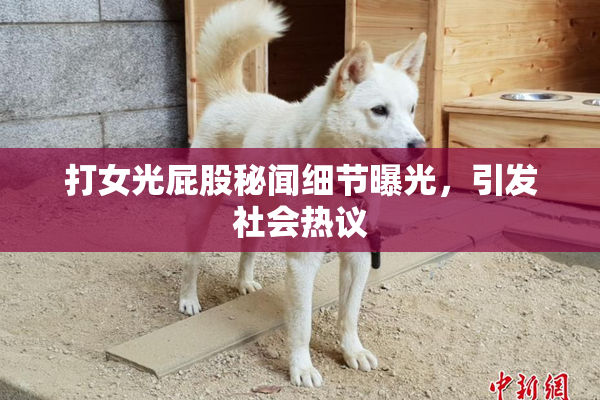 打女光屁股秘闻细节曝光，引发社会热议