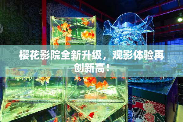 樱花影院全新升级，观影体验再创新高！