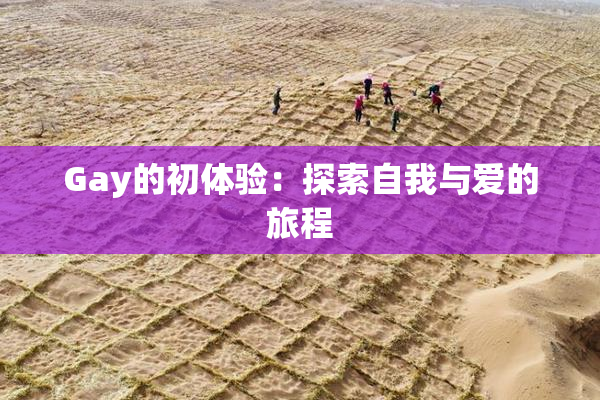 Gay的初体验：探索自我与爱的旅程
