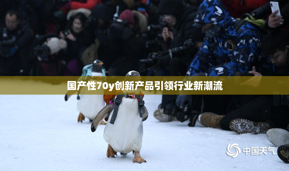 国产性70y创新产品引领行业新潮流
