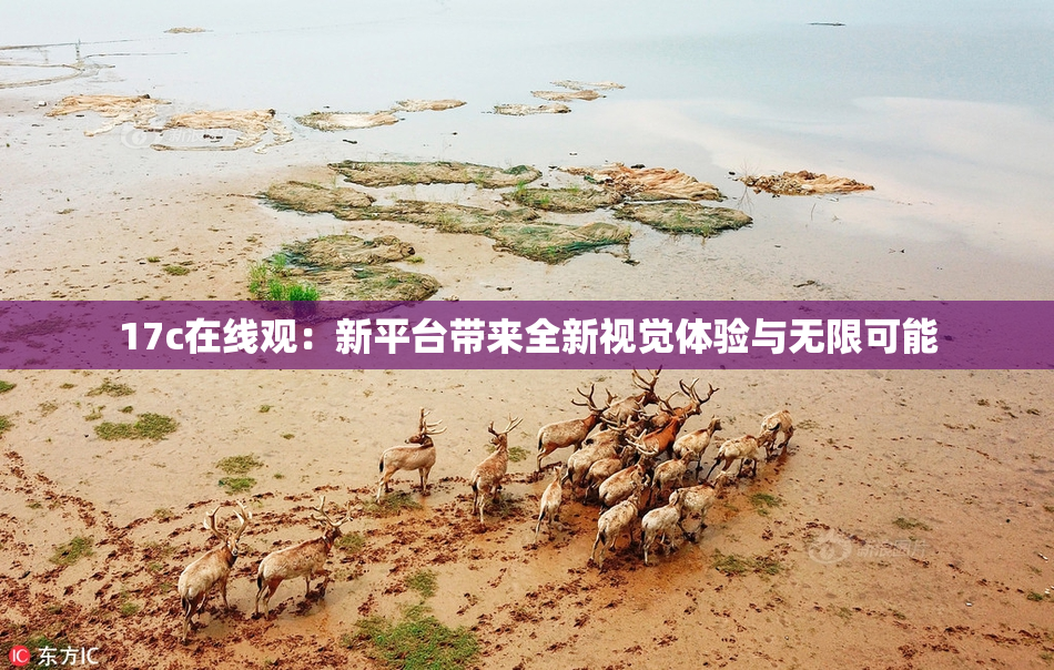 17c在线观：新平台带来全新视觉体验与无限可能