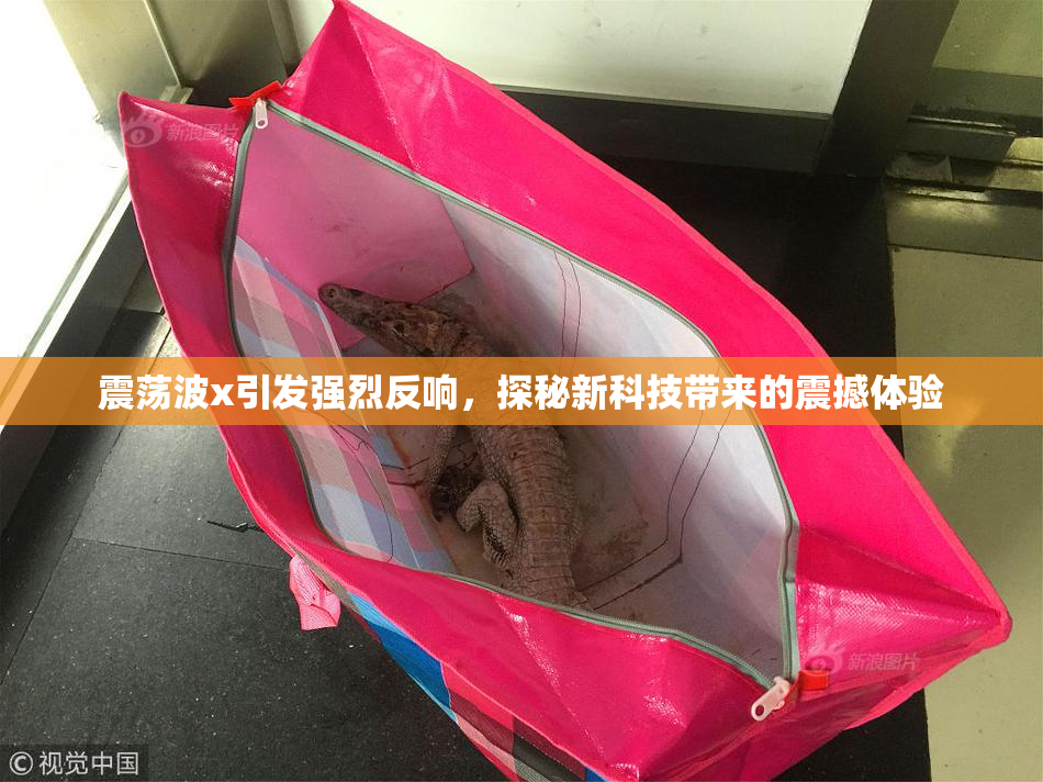 震荡波x引发强烈反响，探秘新科技带来的震撼体验