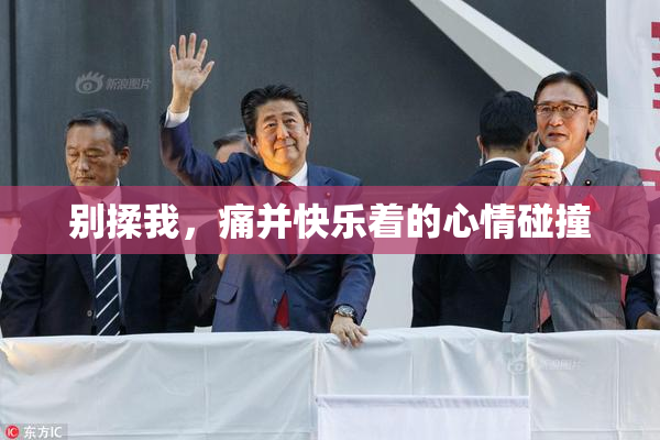 别揉我，痛并快乐着的心情碰撞