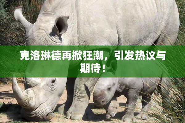 克洛琳德再掀狂潮，引发热议与期待！
